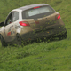 Image for article titled The Sun Finally Came Up At The 25 Hours Of Thunderhill